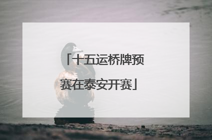 十五运桥牌预赛在泰安开赛