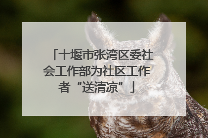 十堰市张湾区委社会工作部为社区工作者“送清凉”
