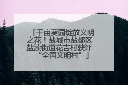 千亩葵园绽放文明之花！盐城市盐都区盐渎街道花吉村获评“全国文明村”