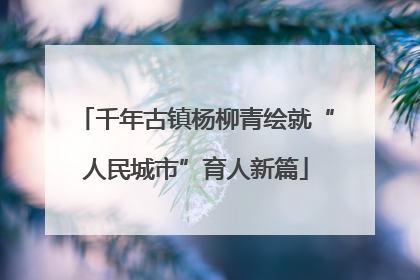 千年古镇杨柳青绘就“人民城市”育人新篇