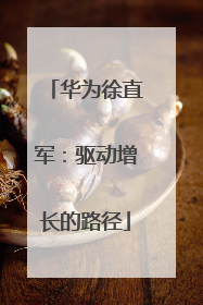 华为徐直军：驱动增长的路径
