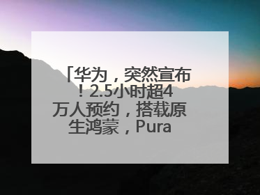 华为，突然宣布！2.5小时超4万人预约，搭载原生鸿蒙，Pura 80外观曝光