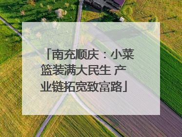 南充顺庆：小菜篮装满大民生 产业链拓宽致富路
