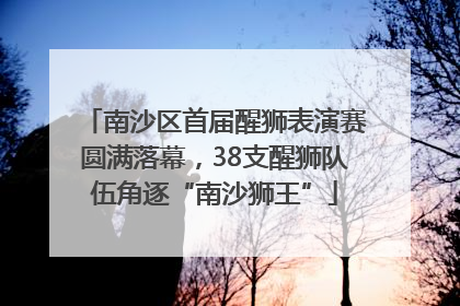 南沙区首届醒狮表演赛圆满落幕，38支醒狮队伍角逐“南沙狮王”