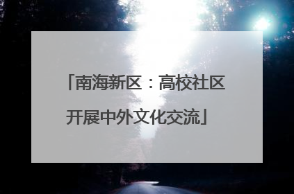 南海新区：高校社区开展中外文化交流