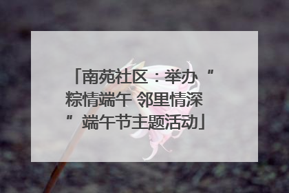 南苑社区：举办“粽情端午 邻里情深”端午节主题活动