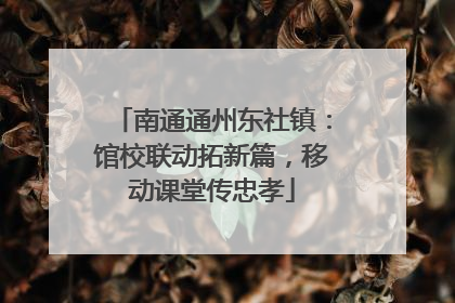 南通通州东社镇：馆校联动拓新篇，移动课堂传忠孝