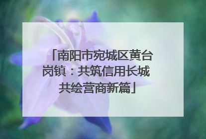 南阳市宛城区黄台岗镇：共筑信用长城 共绘营商新篇