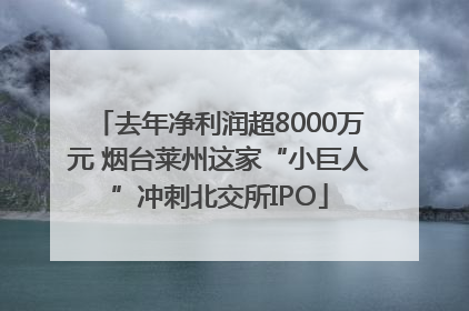 去年净利润超8000万元 烟台莱州这家“小巨人”冲刺北交所IPO