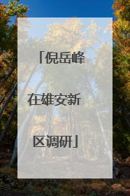 倪岳峰在雄安新区调研