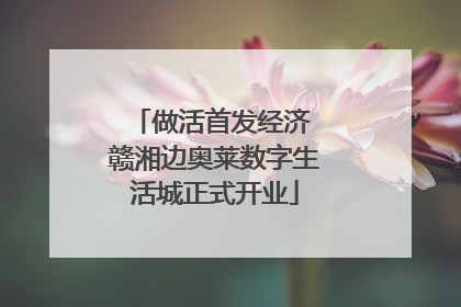做活首发经济 赣湘边奥莱数字生活城正式开业