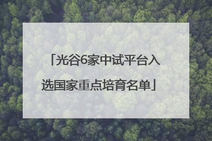 光谷6家中试平台入选国家重点培育名单