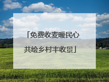 免费收麦暖民心 共绘乡村丰收景