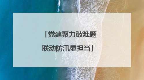 党建聚力破难题 联动防汛显担当
