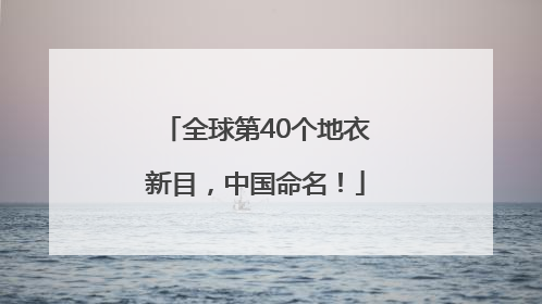 全球第40个地衣新目，中国命名！