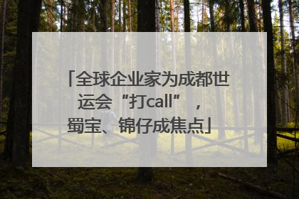 全球企业家为成都世运会“打call”，蜀宝、锦仔成焦点