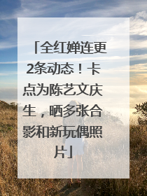 全红婵连更2条动态！卡点为陈艺文庆生，晒多张合影和新玩偶照片
