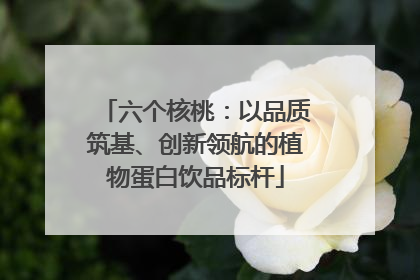 六个核桃：以品质筑基、创新领航的植物蛋白饮品标杆