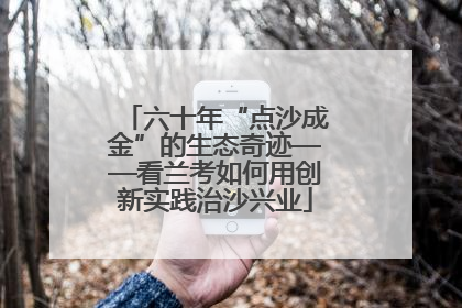 六十年“点沙成金”的生态奇迹——看兰考如何用创新实践治沙兴业