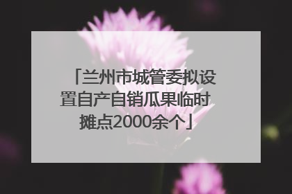 兰州市城管委拟设置自产自销瓜果临时摊点2000余个