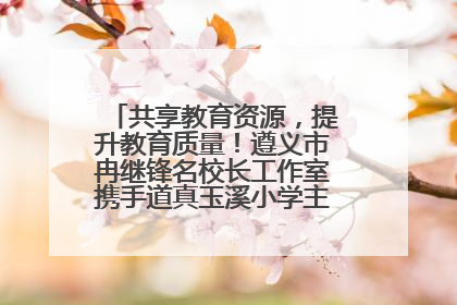 共享教育资源，提升教育质量！遵义市冉继锋名校长工作室携手道真玉溪小学主题研修出新出彩