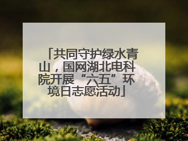 共同守护绿水青山，国网湖北电科院开展“六五”环境日志愿活动