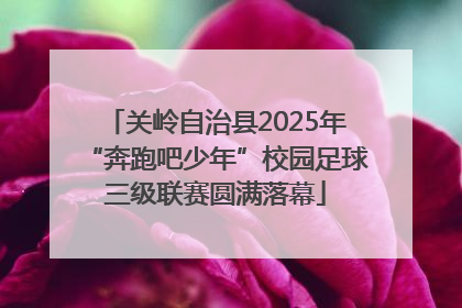 关岭自治县2025年“奔跑吧少年”校园足球三级联赛圆满落幕