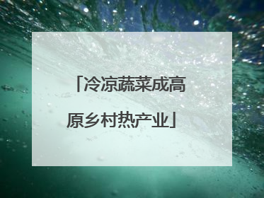 冷凉蔬菜成高原乡村热产业