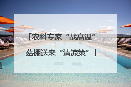农科专家“战高温” 菇棚送来“清凉策”