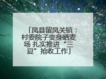 凤县留凤关镇：村委院子变身晒麦场 扎实推进“三夏”抢收工作