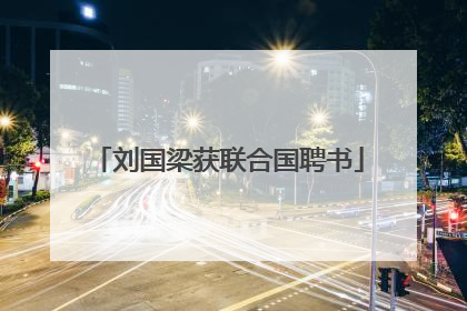 刘国梁获联合国聘书