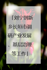 刘宁到新乡长垣市调研产业发展、基层治理等工作