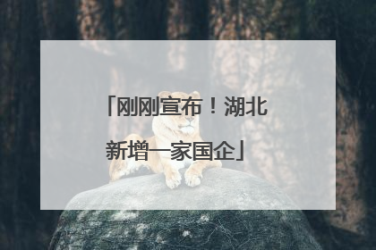 刚刚宣布！湖北新增一家国企