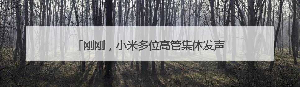 刚刚，小米多位高管集体发声：诋毁，本身就是一种仰望