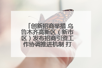 创新招商举措 乌鲁木齐高新区（新市区）发布招商引资工作协调推进机制 打造投资发展新高地