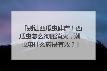 别让西瓜虫肆虐！西瓜虫怎么彻底消灭，潮虫用什么药最有效？