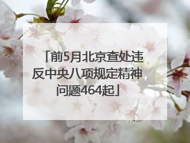 前5月北京查处违反中央八项规定精神问题464起