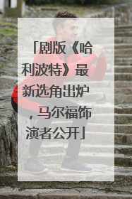 剧版《哈利波特》最新选角出炉，马尔福饰演者公开