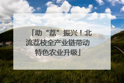 助“荔”振兴！北流荔枝全产业链带动特色农业升级