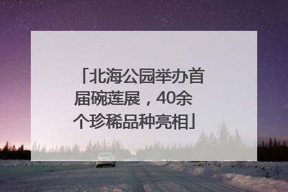 北海公园举办首届碗莲展，40余个珍稀品种亮相