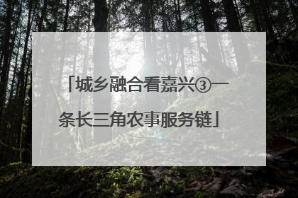 城乡融合看嘉兴③一条长三角农事服务链