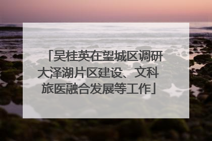 吴桂英在望城区调研大泽湖片区建设、文科旅医融合发展等工作