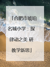 合肥市琥珀名城小学：探律动之美 研教学新思