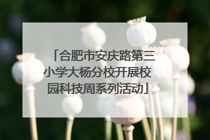 合肥市安庆路第三小学大杨分校开展校园科技周系列活动