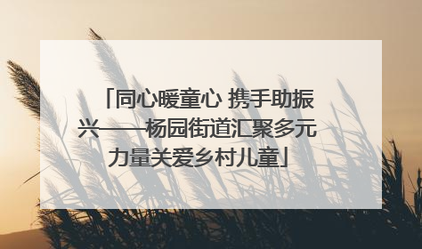 同心暖童心 携手助振兴——杨园街道汇聚多元力量关爱乡村儿童