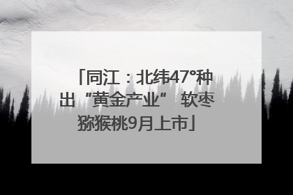 同江：北纬47°种出“黄金产业” 软枣猕猴桃9月上市