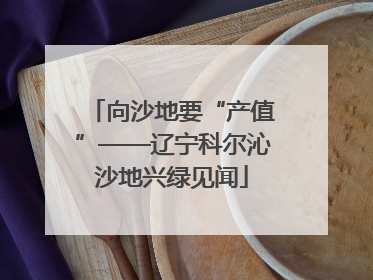 向沙地要“产值”——辽宁科尔沁沙地兴绿见闻