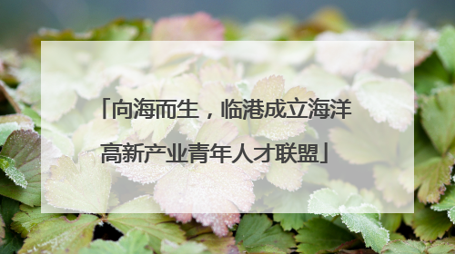向海而生，临港成立海洋高新产业青年人才联盟