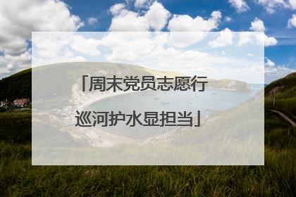 周末党员志愿行 巡河护水显担当