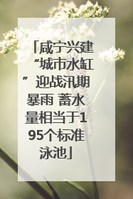 咸宁兴建“城市水缸”迎战汛期暴雨 蓄水量相当于195个标准泳池